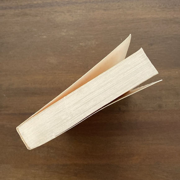 Ramses The Son of Light Volume I by Christian Jacq Translated by Mary Feeney - Picture 7 of 10